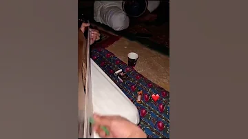 فعلن انا يوم حبيتك 