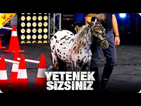 Hem Akıllı Hem Sevimli Pony Alex'in Gösterisi | Yetenek Sizsiniz Türkiye