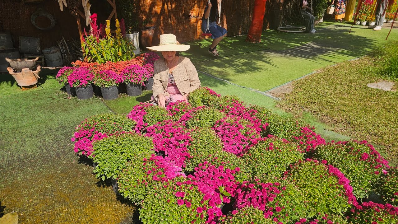 Một ngày nắng đẹp trời cả gia đình dắt díu nhau check in Làng hoa Sa Đéc