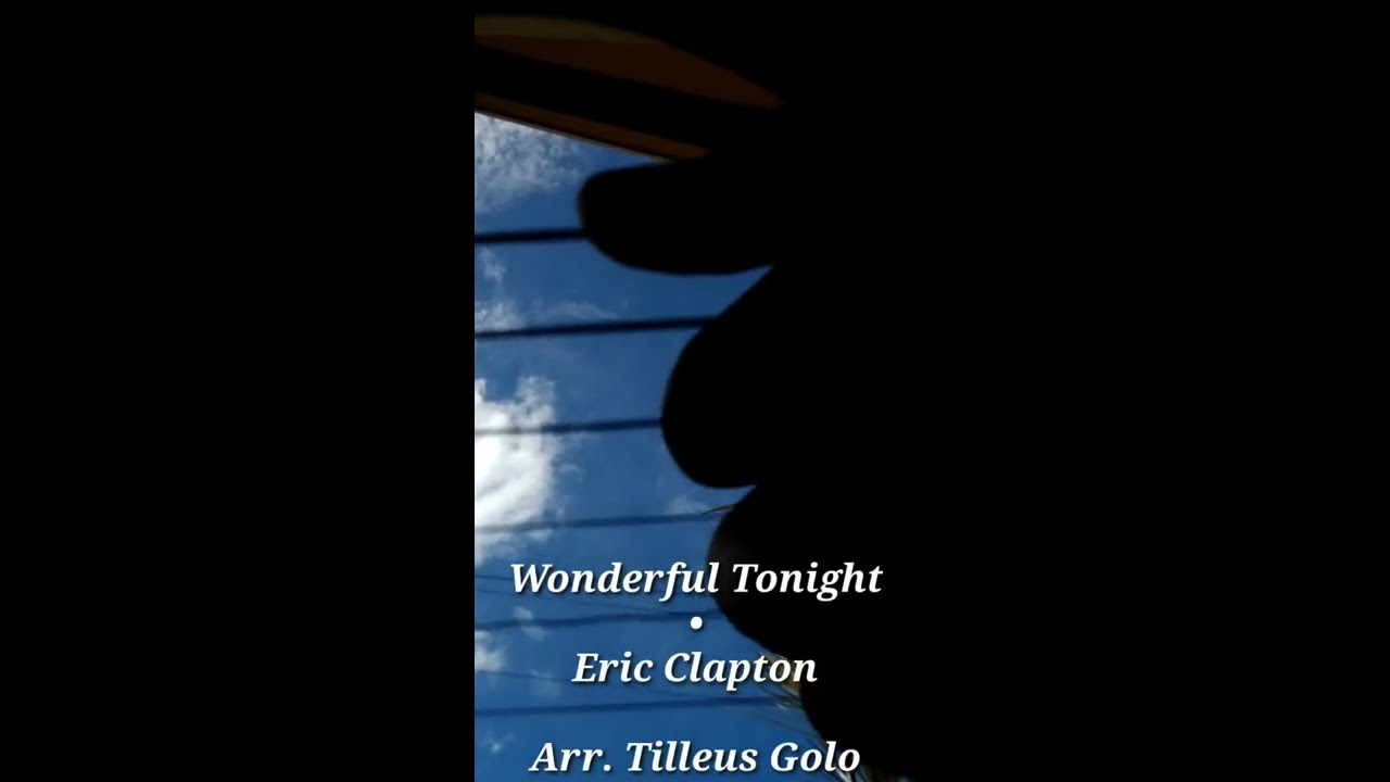 fingerpicking wonderful tonight fingerpicking wonderful tonight