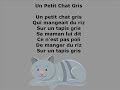 Un petit chat gris