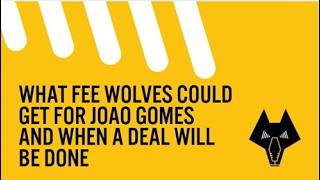 What fee Wolves could get for Joao Gomes and when a deal will be done