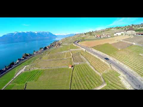 جمال الوجود بذكر الاله محمد المقيط