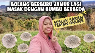 Download Lagu Bolang berburu jamur lagi sampai ke atas bukit kali  ini masak sesuai saran teman - teman online MP3 Download Lagu Bolang berburu jamur lagi sampai ke atas bukit kali  ini masak sesuai saran teman - teman online MP3