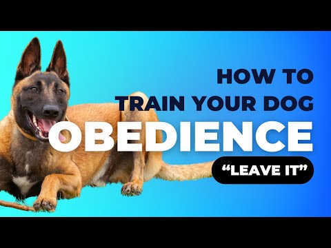 Leave It tutorial thumbnail