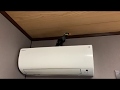 すがちゃん:飼い主のいうことは聞かない姿勢