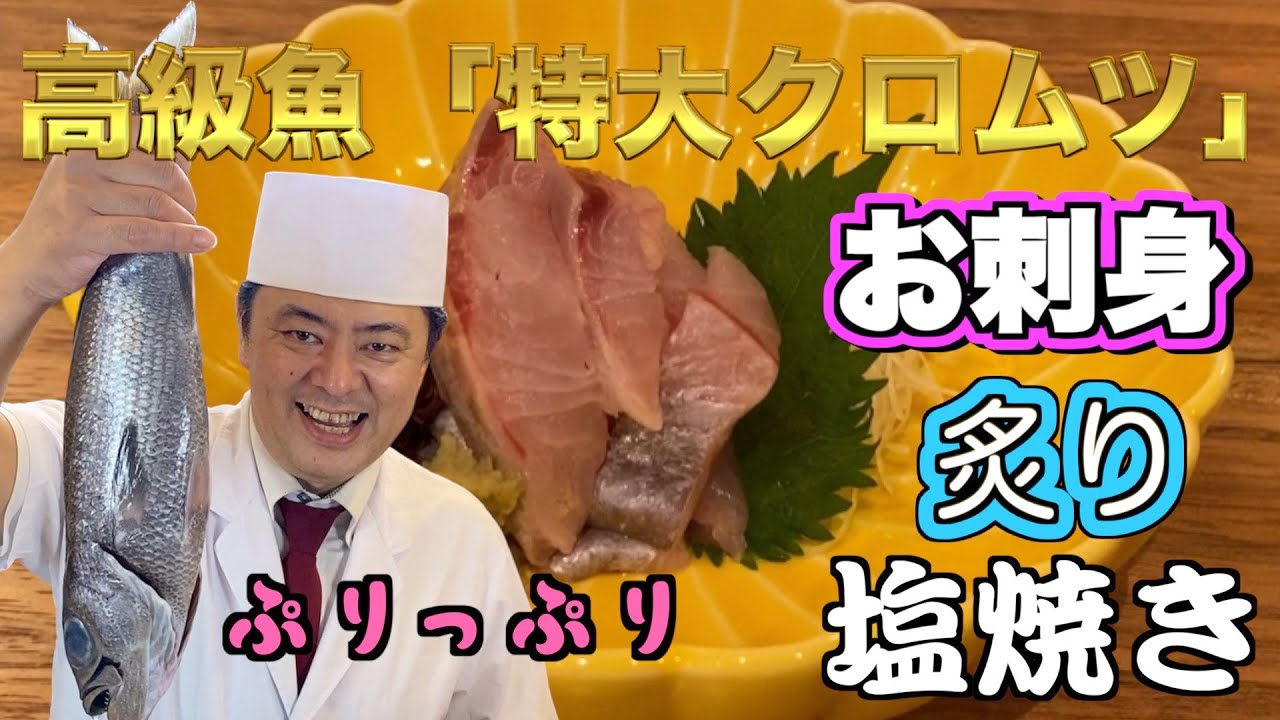 【高級魚】【絶品】クロムツ！お酒のお供にぴったりなプリップリのクロムツを調理してみた！お刺身、炙り、塩焼きを作ってみたよ！