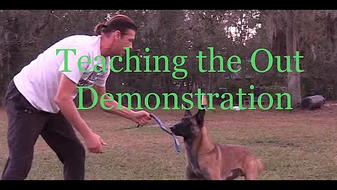 The Out Demonstration