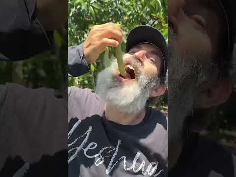 Introducing the Gummy Worm Fruit
