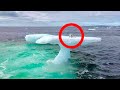 Fishermen Think They Found a Seal on a Floating Iceberg Until They Got a Closer Look