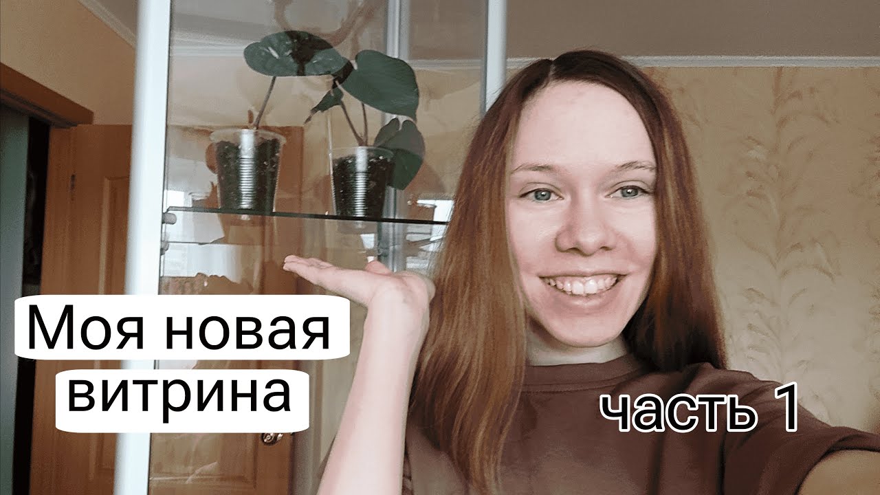 ТРЭШ витрина | Как я ВЫБИВАЛА свою витрину у магазина | Часть 1 - YouTube