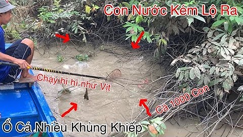 Ổ Cá Nhiều Khủng Khiếp Cả 1000 Con Khi Thủy Triều Xuống Miền Tây | Xiệt Cá Miền Tây | Catch Fish