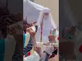 Sarkin Kano Alhaji Aminu Ado Bayero Mai Hakuri Ne
