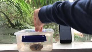 EKA CyberLock IP68 Padlock submerged in water