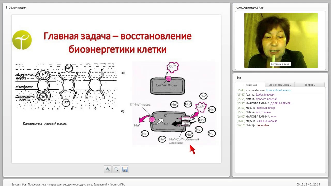 Профилактика сердечно сосудистых заболеваний - YouTube