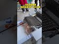 Bone chopper" "Bone cutter" "Fully automatic bone chopper"
