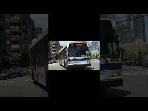 B49 Bus Time