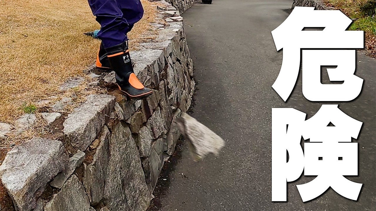 【緊急】石垣のあちこちで石が剥がれて危険です！！