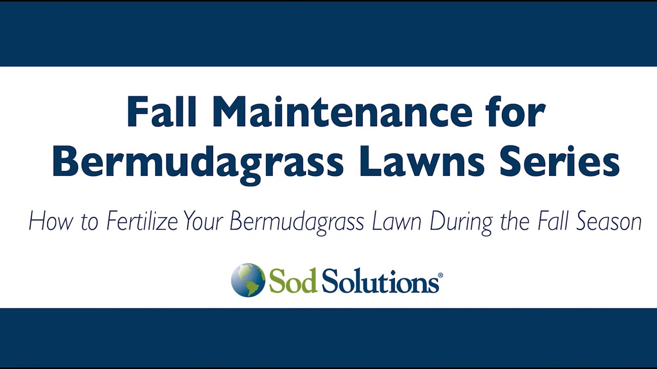 How to Fertilize Your Bermuda Grass Lawn During the Fall Season