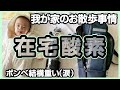 【Q&A】お散歩はこんなスタイル！〜赤ちゃんの在宅酸素＆酸素ボンベ〜（早産 22週 NICU GCU卒業生）