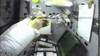Frog Goes Crazy In Space