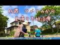 SUB)【アメリカから里帰りVlog#5】不妊治療クリニックへ｜海へドライブ｜公園で砂遊び｜ナノケア｜アラフォー１歳児子育て