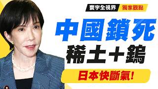 中國鎖死「稀土＋鎢」！日本晶片、汽車業集體斷氣？美國爸爸自身難保還得幫高市早苗求情！｜#獨家觀點 #寰宇全視界 @globalvisiontalk screenshot 3