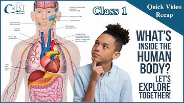 Human Body Topic for Class 1 | Science Olympiad Preparation