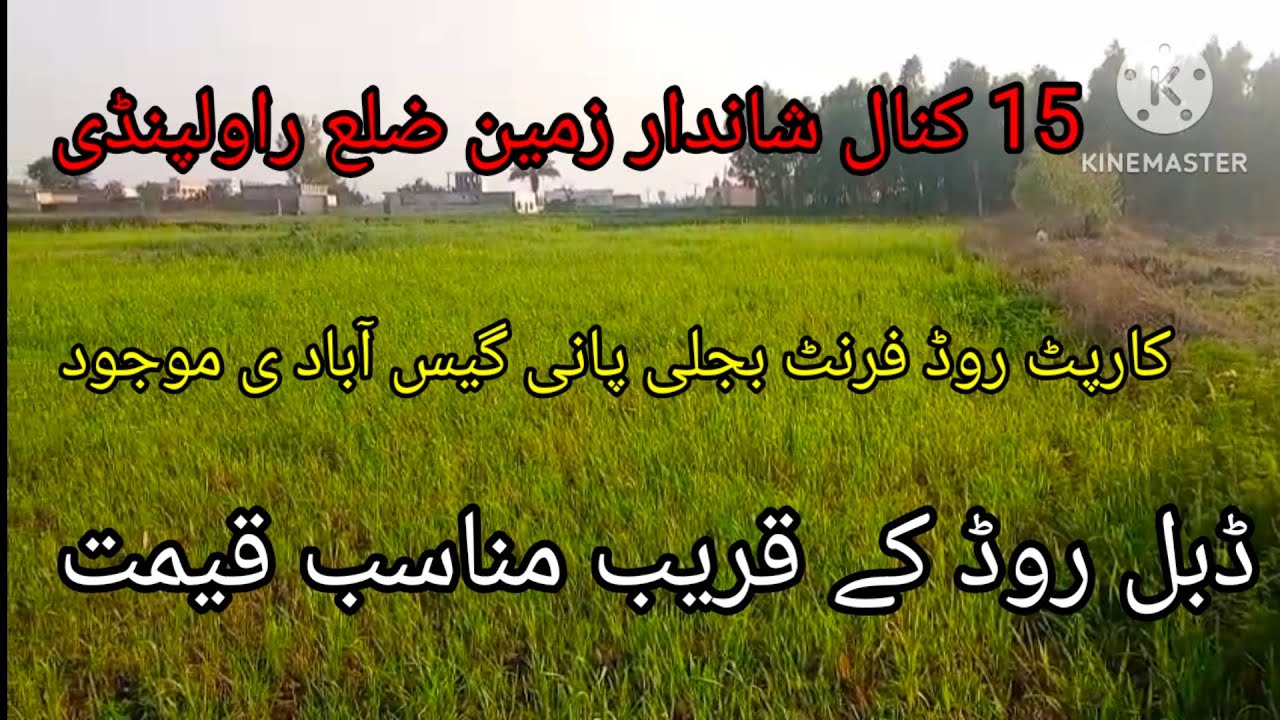 15 کنال شاندار زرعی زمین ضلع راولپنڈی تحصیل راولپنڈی الکرم پراپرٹی چکوال 