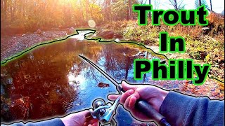 Fall Creek Fishing For Wild Trout In Philadelphia, Pennsylvania