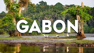 Top 10 Best Things to Do in Gabon [Gabon Travel Guide 2024]