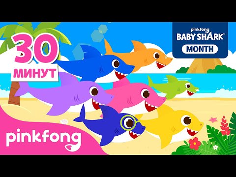 Акулёнок и его большая семья + другие песни | сборник Акулёнок | Песни про Животных | Пинкфонг