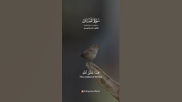 #القرآن_الكريم #راحة_نفسية #تلاوة_خاشعة #اكسبلور ا