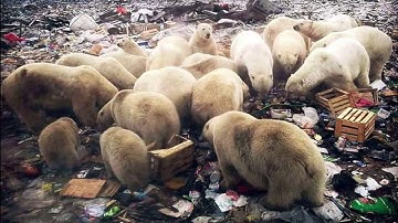 HARDTECH DARK - SILENTLY - The Silent