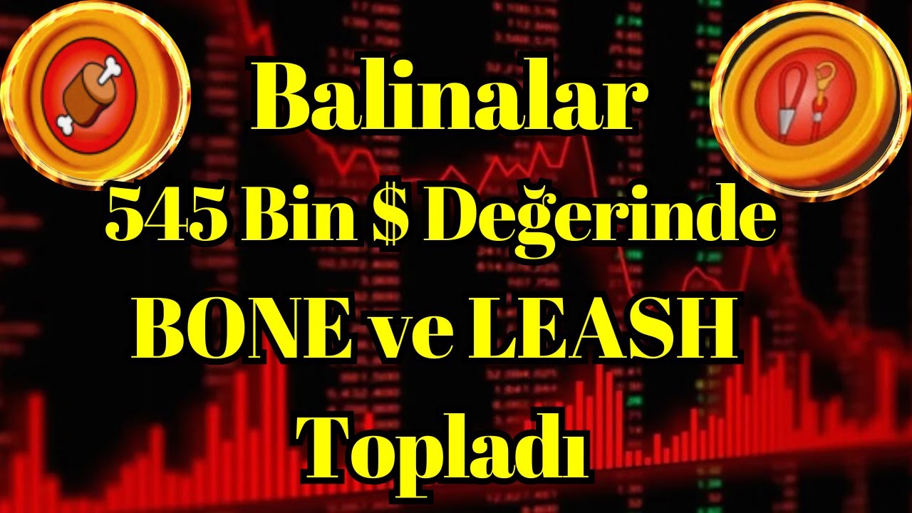 Kripto Sesli Haber | Balinalar, 545 Bin Dolar Değerinde BONE ve LEASH Topladı