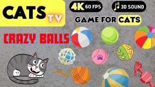 CAT GAMES - Crazy Balls 🙀🎶 For Cats To Play 📺😻 4K (60FPS) NO ADS