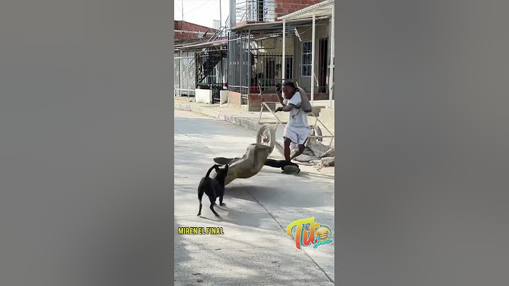 La anaconda gigante 😂😅#bromas #humor #viral