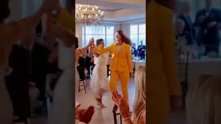 Irish 'Wedding Dance' 💚🤍🧡 #shorts
