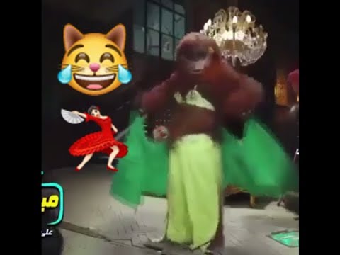 رقص القرود على مزمار عبدالسلام مضحك