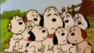 La Reunion De Snoopy Español Latino