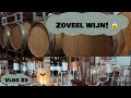 Barolo wijn tour  proeverij  vlog 39