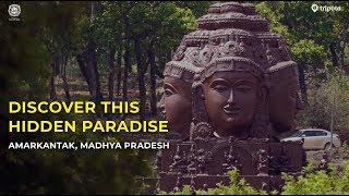 Amarkantak Madhya Pradesh Video | Amarkantak Vlog | Tripoto