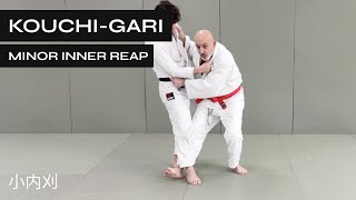 How to do Kouchi-Gari | Minor Inner Reap | 小内刈