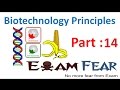 Biology Biotechnology Principles part 14 (Transformation, Insertional inactivation) class 12 XII