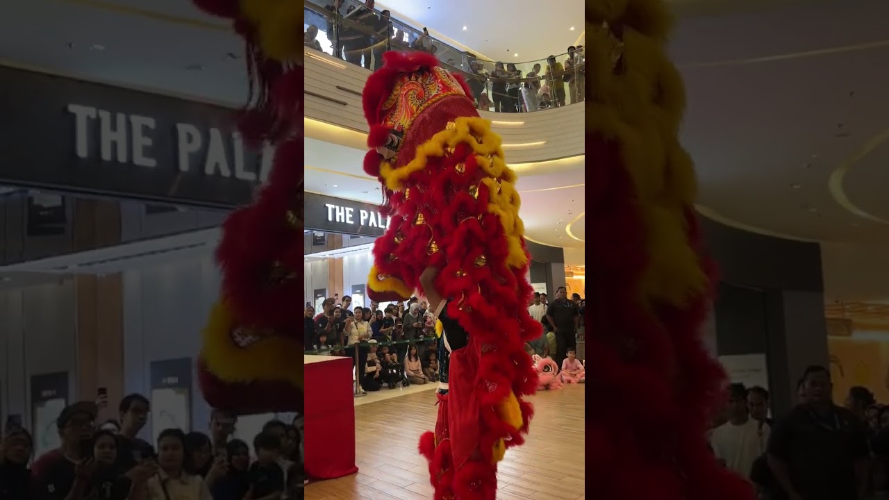 Pertunjukan Barongsai di The Park Mall Sawangan
