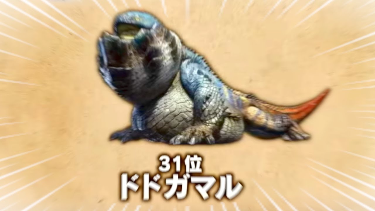 A little tidbit about Dodogamaru, who came in 31st place in the 