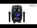 Автономна акустична система BIG100BAT USB / MP3 / FM / BT / TWS + 2pcs VHF mic