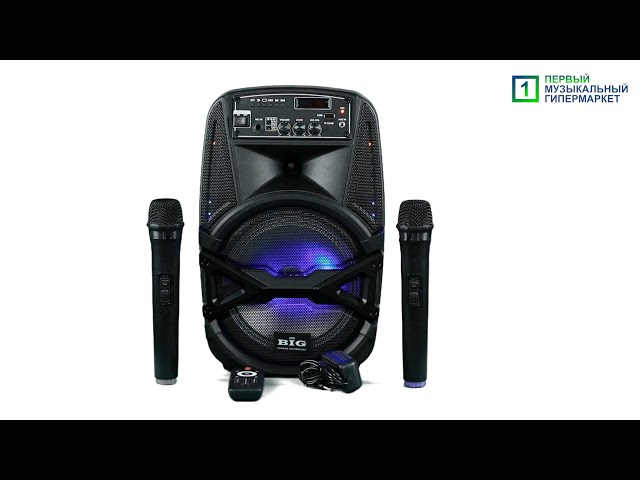 Автономная акустическая система BIG100BAT USB/MP3/FM/BT/TWS + 2pcs VHF mic