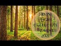 August Message from the Divine Light Collective ✨🦋✨