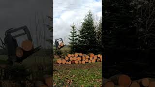 Striegel Hofschlepper beim Holz abladen #farmvlog #hoflader